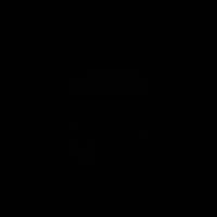 DPU - Delivered at Place Unloaded icon